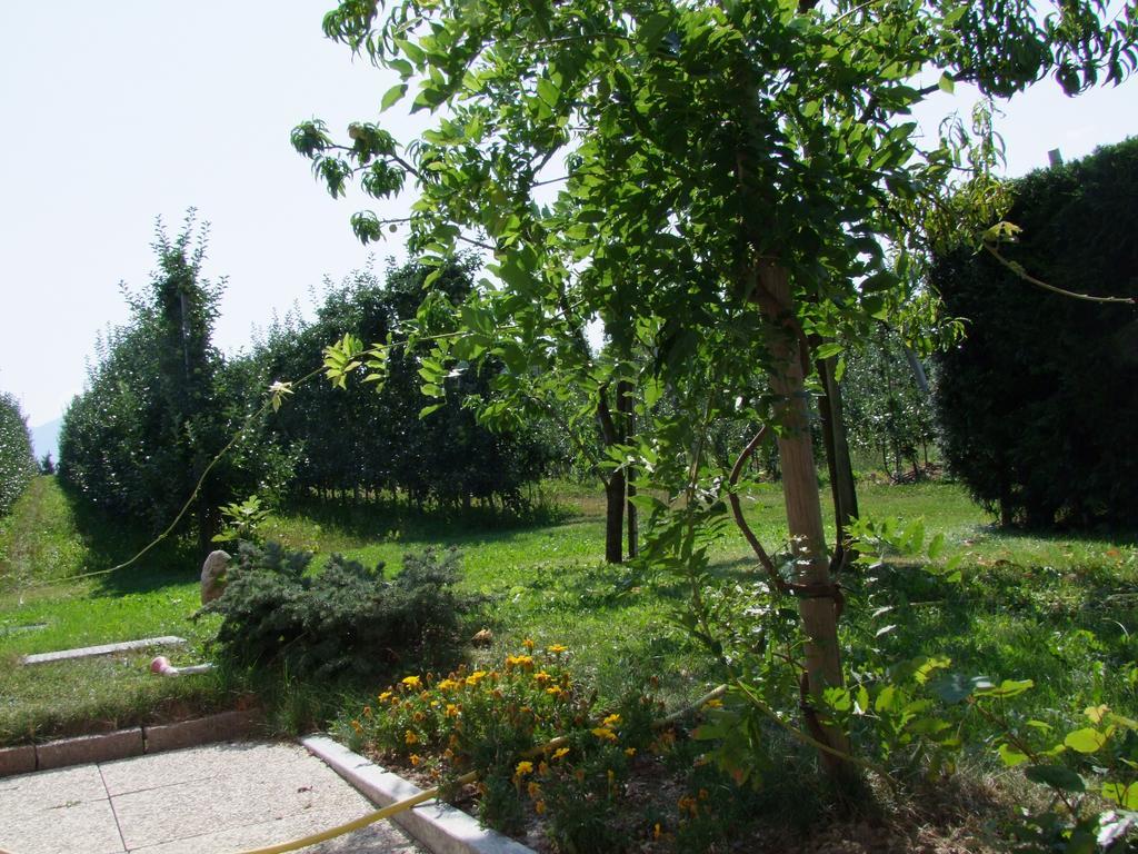 Apartment Agritur Fior Di Melo *